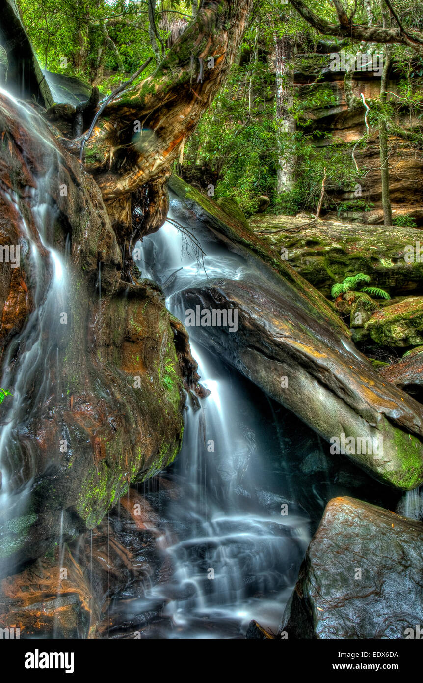 Lower Somersby Falls, Central Coast, New-South.Wales Stockfoto