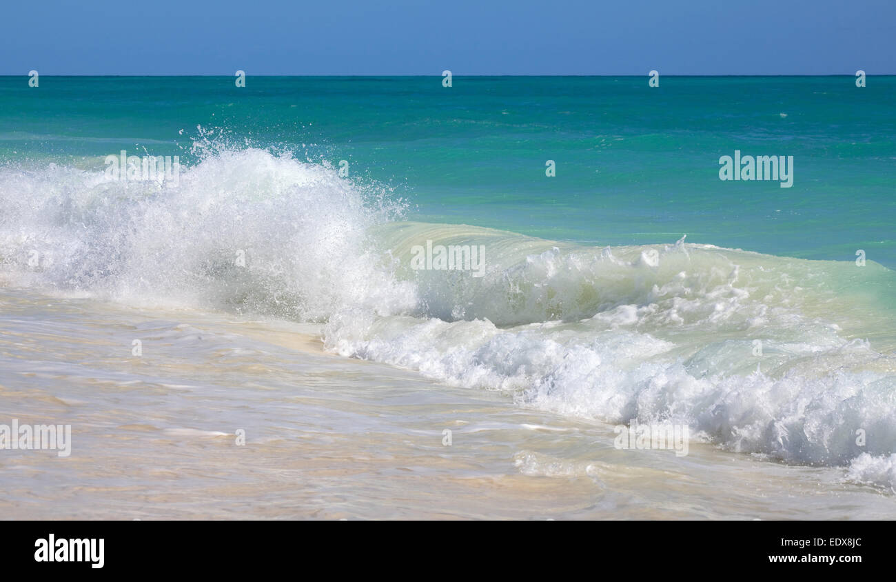 Lebhafte karibische Meer. Playa Los Cocos. Cayo Largo. Kuba. Stockfoto