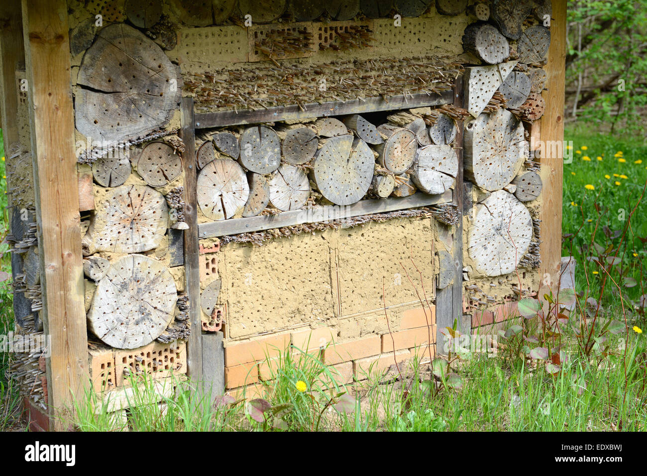 wilde Bienen Insekten Unterschlupf bei einer Wiese Stockfoto