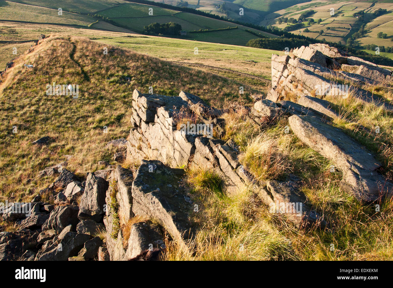 Gritstone Felsen auf dem Gipfel des Crook Hill im Peak District, Derbyshire. Einen angenehmen Abend Sommer Sonnenlicht. Stockfoto