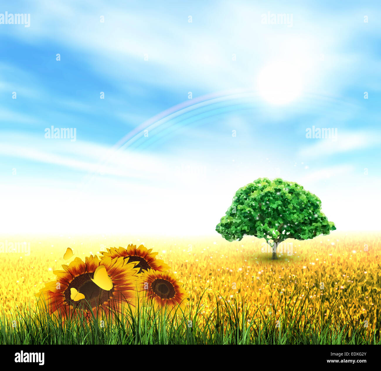 Sommerlandschaft mit Feld, Himmel, Sonne, Regenbogen, Baum, Rasen, Sonnenblumen und Schmetterlinge Stockfoto