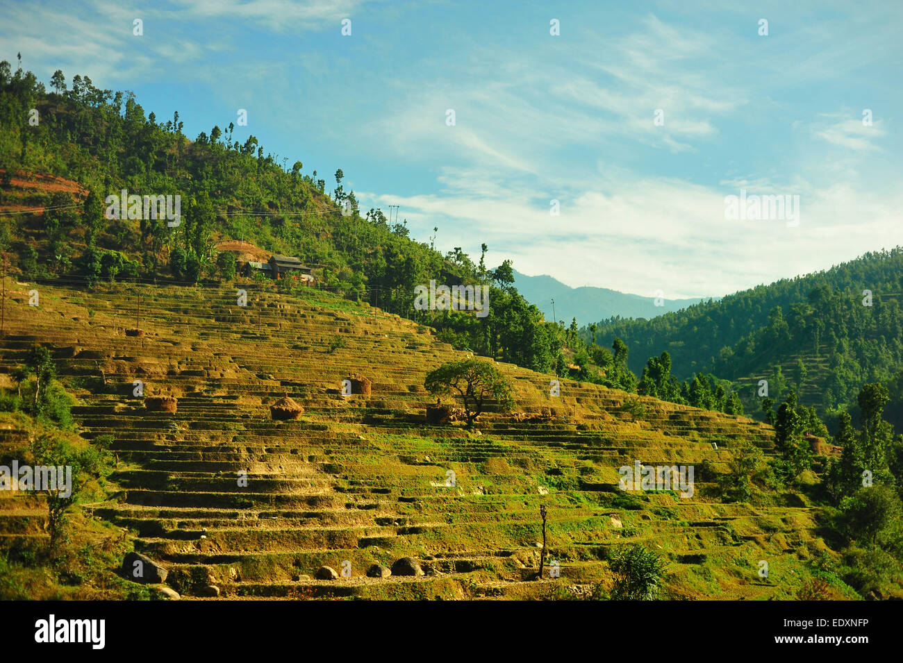Nepal: Land der Wunder und kulturellen Schätze des Himalaya, wo alte Traditionen auf atemberaubende Landschaften treffen. Entdecken Sie den Zauber Nepals. Stockfoto