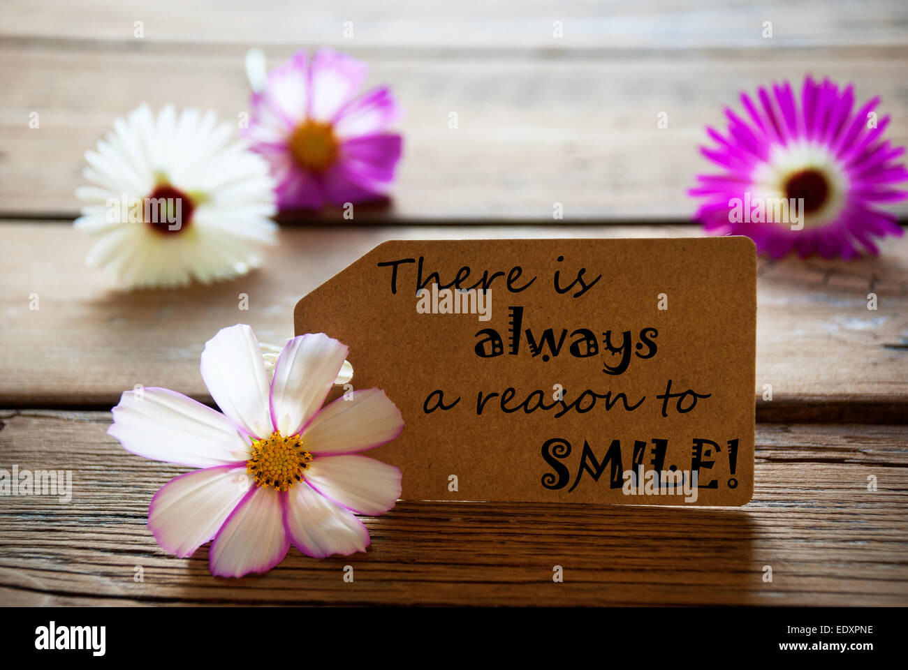 Braune Label Leben Angebot es gibt immer einen Grund zum Lächeln mit einer lila und weißen Blüten auf hölzernen Hintergrund Vintage Stockfoto