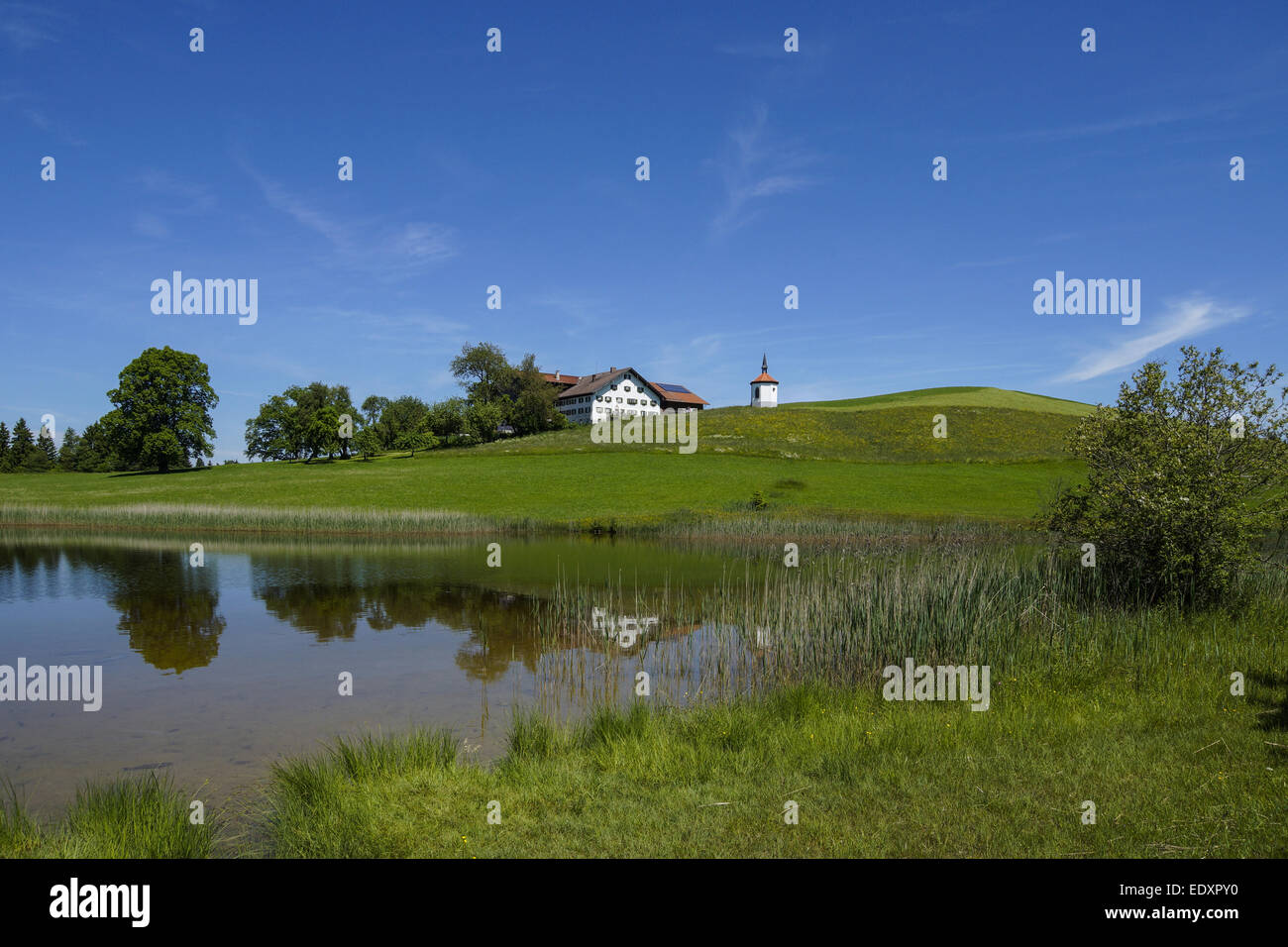 Bauernhof bin Hegratsriedersee Bei Füssen, Ostallgäu, Allgäu, Bayern, Deutschland, Bauernhof am Hegratsrieder See in der Nähe von Füssen, O Stockfoto