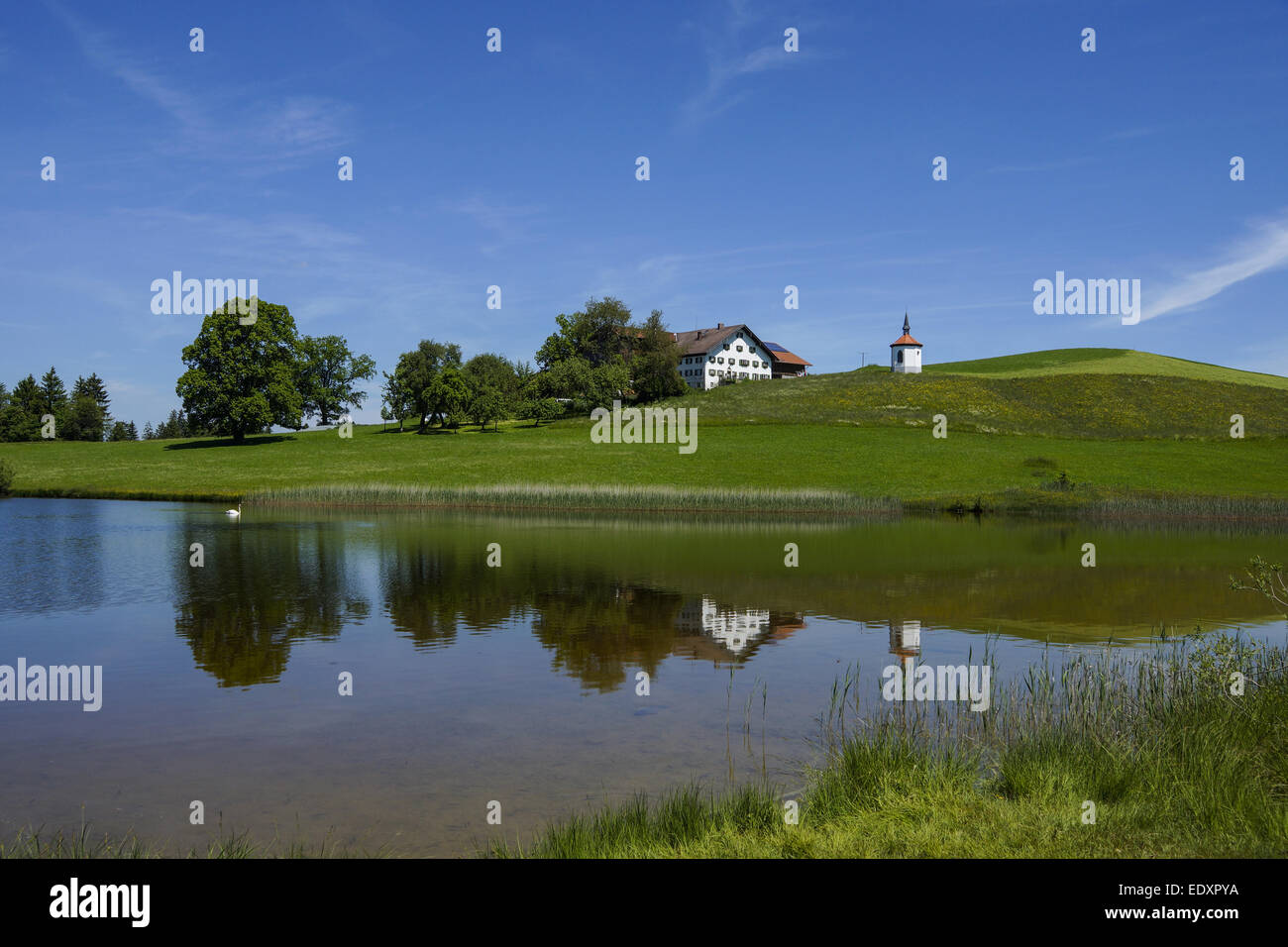 Bauernhof bin Hegratsriedersee Bei Füssen, Ostallgäu, Allgäu, Bayern, Deutschland, Bauernhof am Hegratsrieder See in der Nähe von Füssen, O Stockfoto