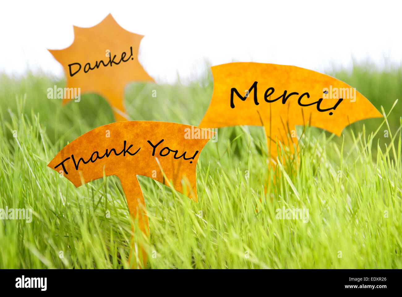 Danke Gut Und Dir Französisch Drei Etiketten mit deutschem Text Danke und Merci französische Text