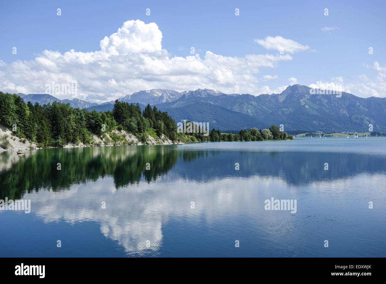 Forggensee Im Ostallgäu, Königswinkel, Bayern, Deutschland, Forggensee und Allgäuer Alpen, Bayern, Deutschland, Swabia, Allgäu, Ostal Stockfoto