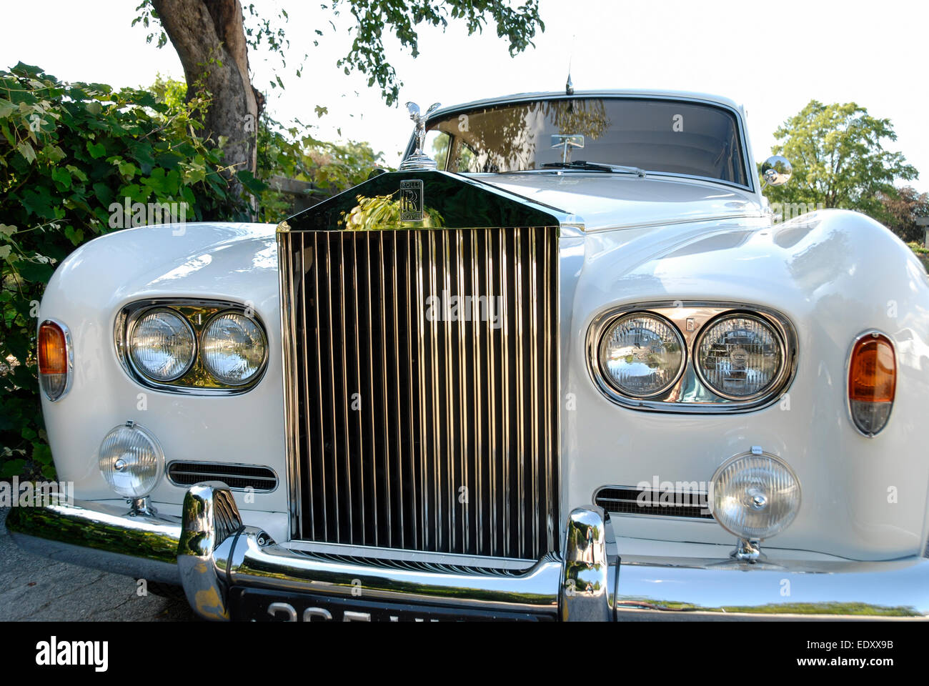 Ein Blick auf den unverwechselbaren und ikonischen Grill eines alten weißen Rolls Royce-Autos, das auf einer Landstraße geparkt und für eine Hochzeit genutzt wird. Stockfoto
