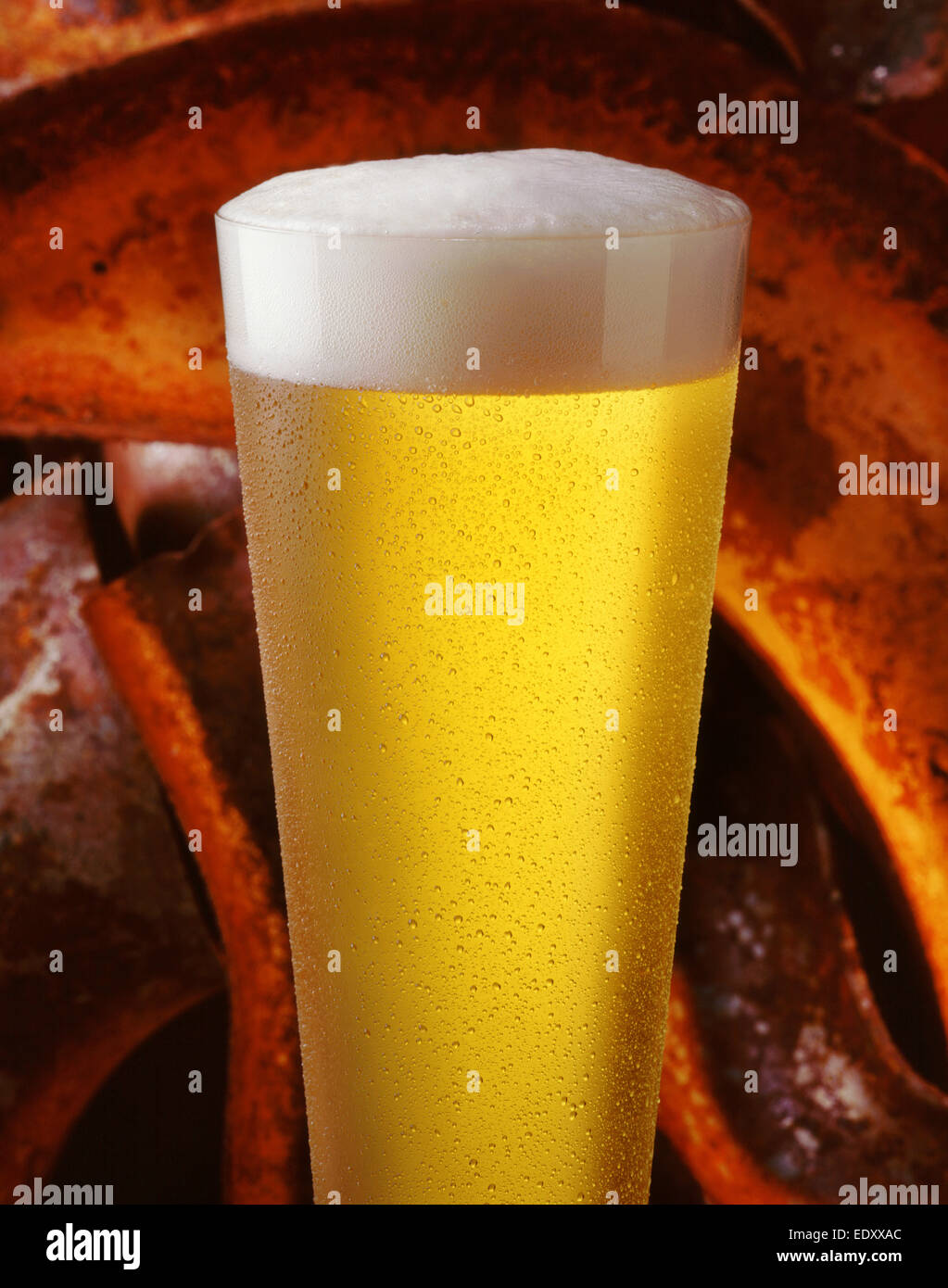 Glas Bier Stockfoto