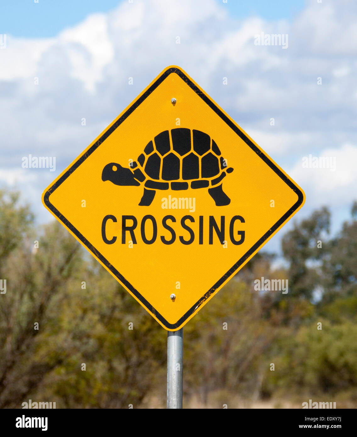 Ungewöhnliche Straße Outback Australien, gelbes Schild mit schwarzer Schrift & Bild der Schildkröte anmelden / Schildkröte überquert haben, gegen blauen Himmel Stockfoto