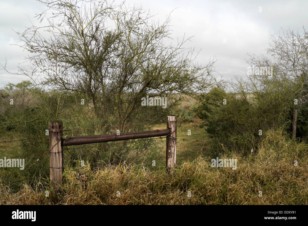 Stacheldrahtzaun neben einer ländlichen Autobahn im Süden von Texas. Stockfoto