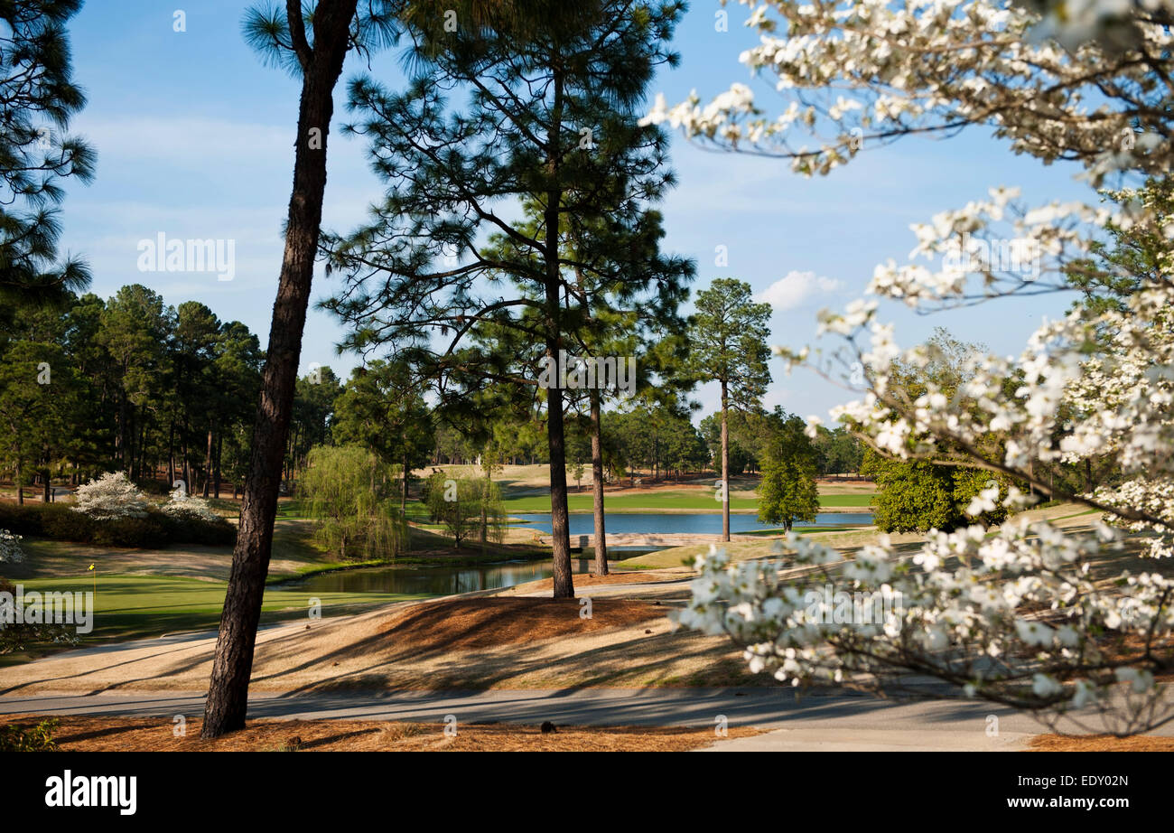 Pinehurst Golf Resort and Country Club in Pinehurst, North Carolina, Kurs #4 Stockfoto