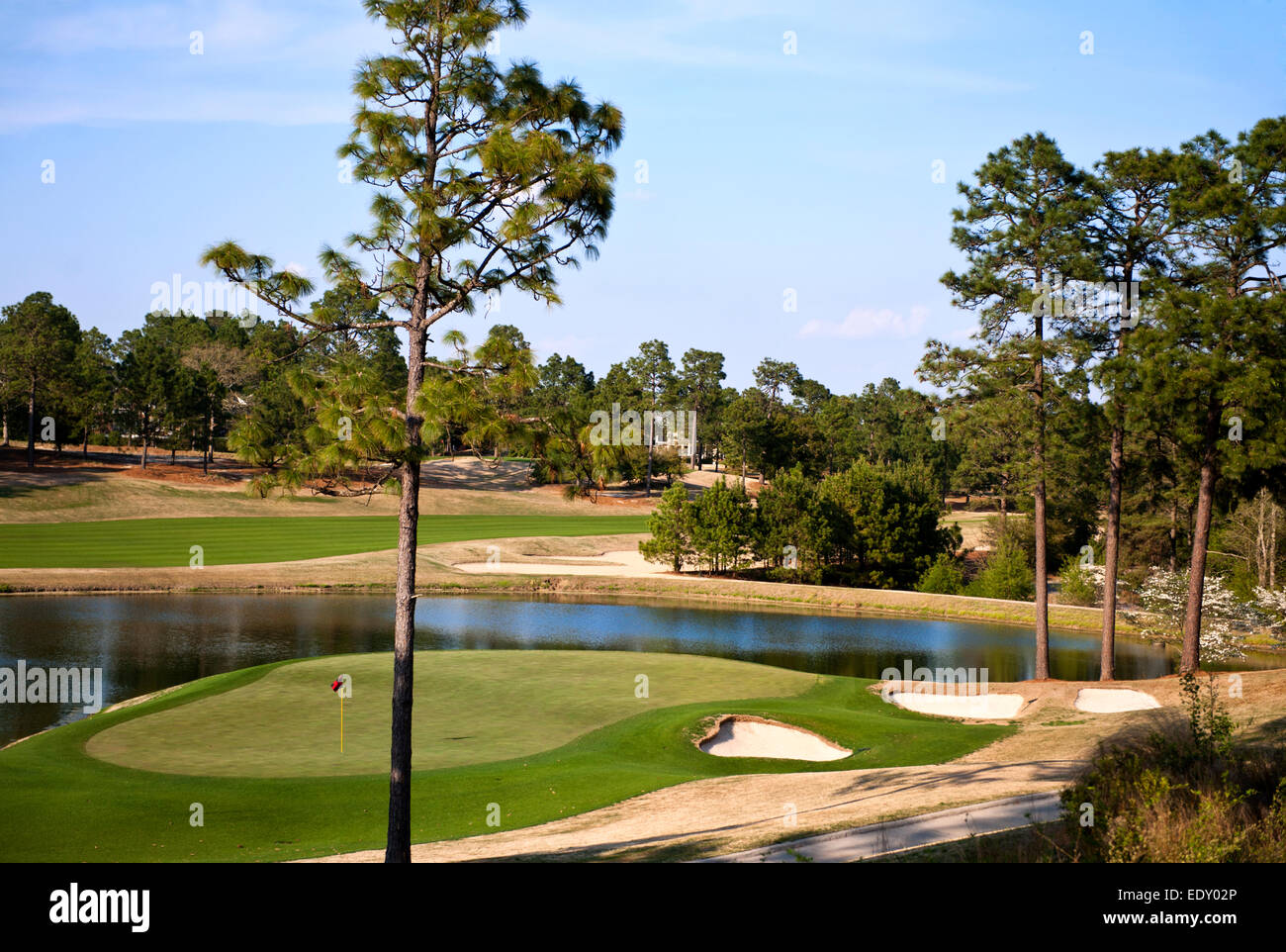 Pinehurst Golf Resort and Country Club in Pinehurst, North Carolina, Kurs #4 Stockfoto