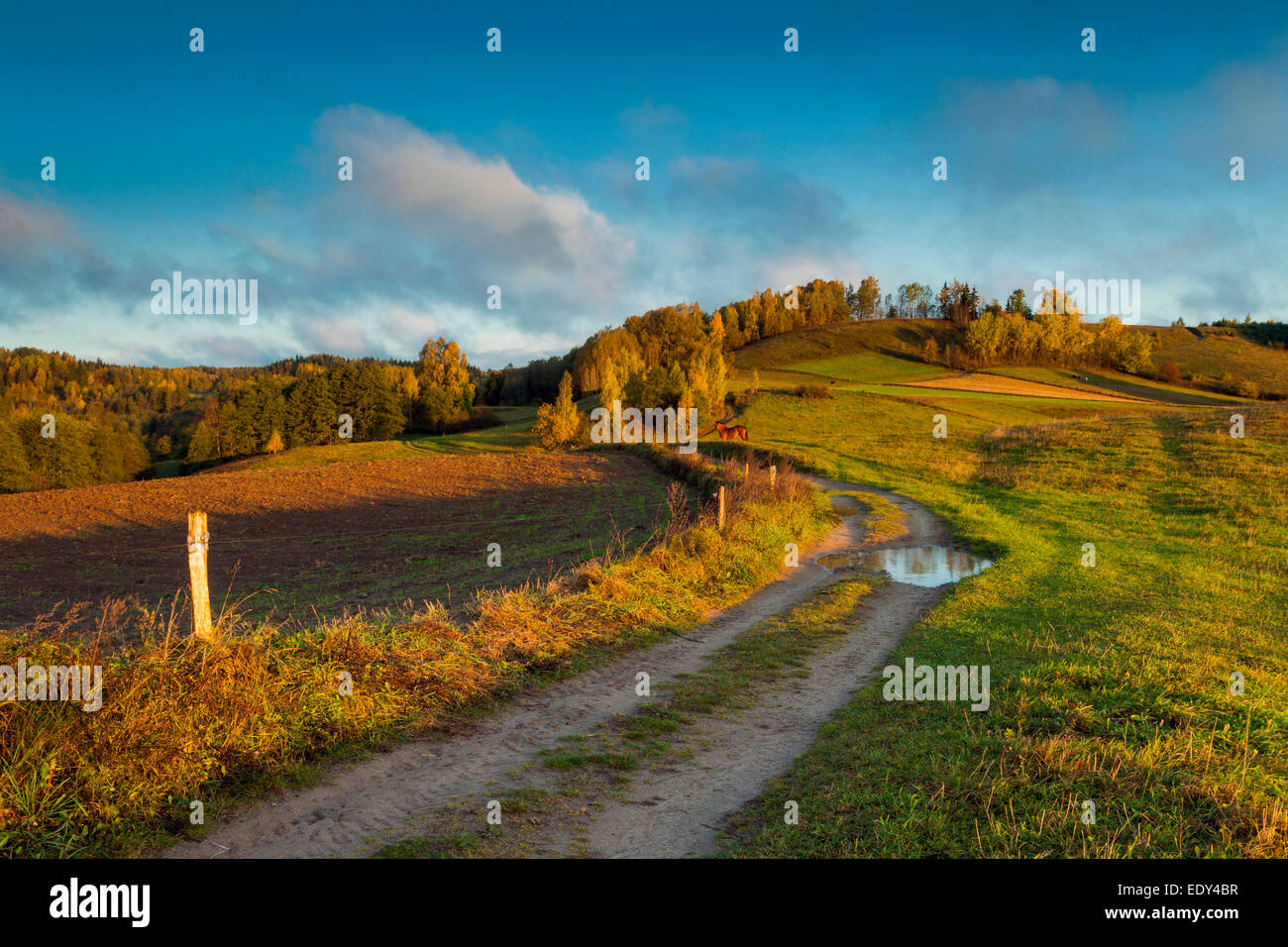 Herbstmorgen in der Nähe von Smolniki in Suwalki Landschaftspark, Polen. Stockfoto