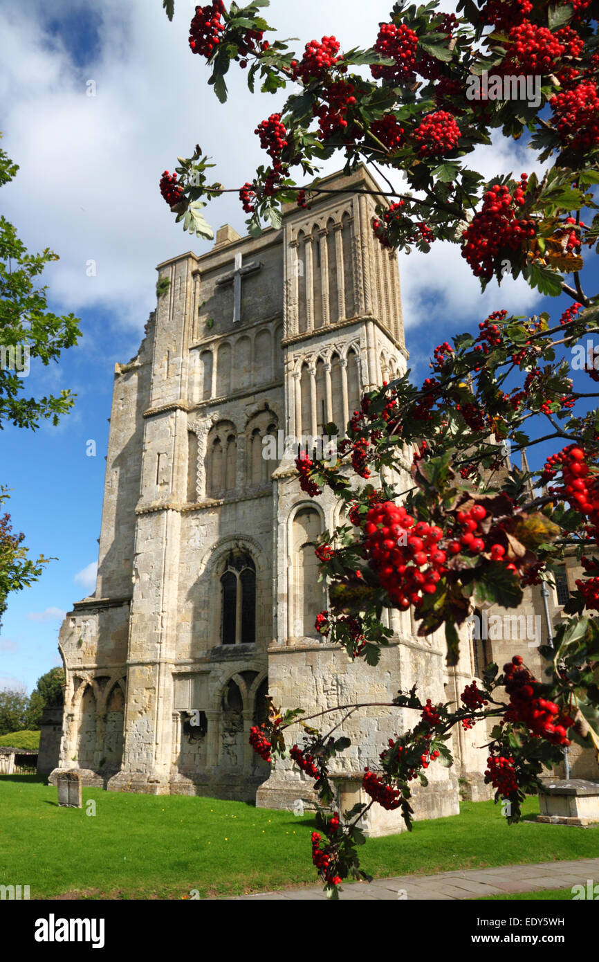 Ein Baum mit roten Beeren mit einer mittelalterlichen steinernen Abtei im Hintergrund... Stockfoto