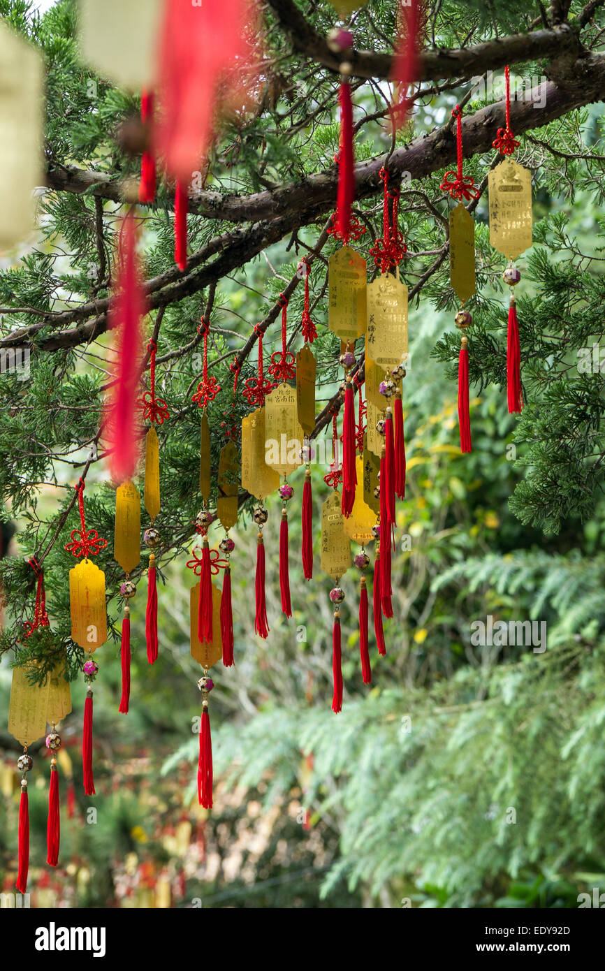 Viele goldene taoistischen Gebet Reize (Gebete in physischer Form) an einem Baum hängen Stockfoto