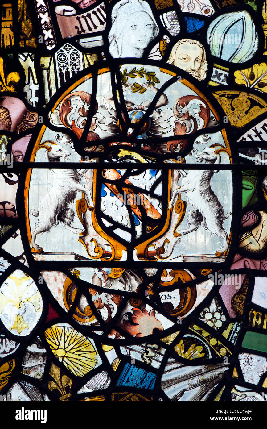 Mittelalterliche Glasmalerei, St. Marien Kirche, Melton Mowbray, Leicestershire, England, UK Stockfoto