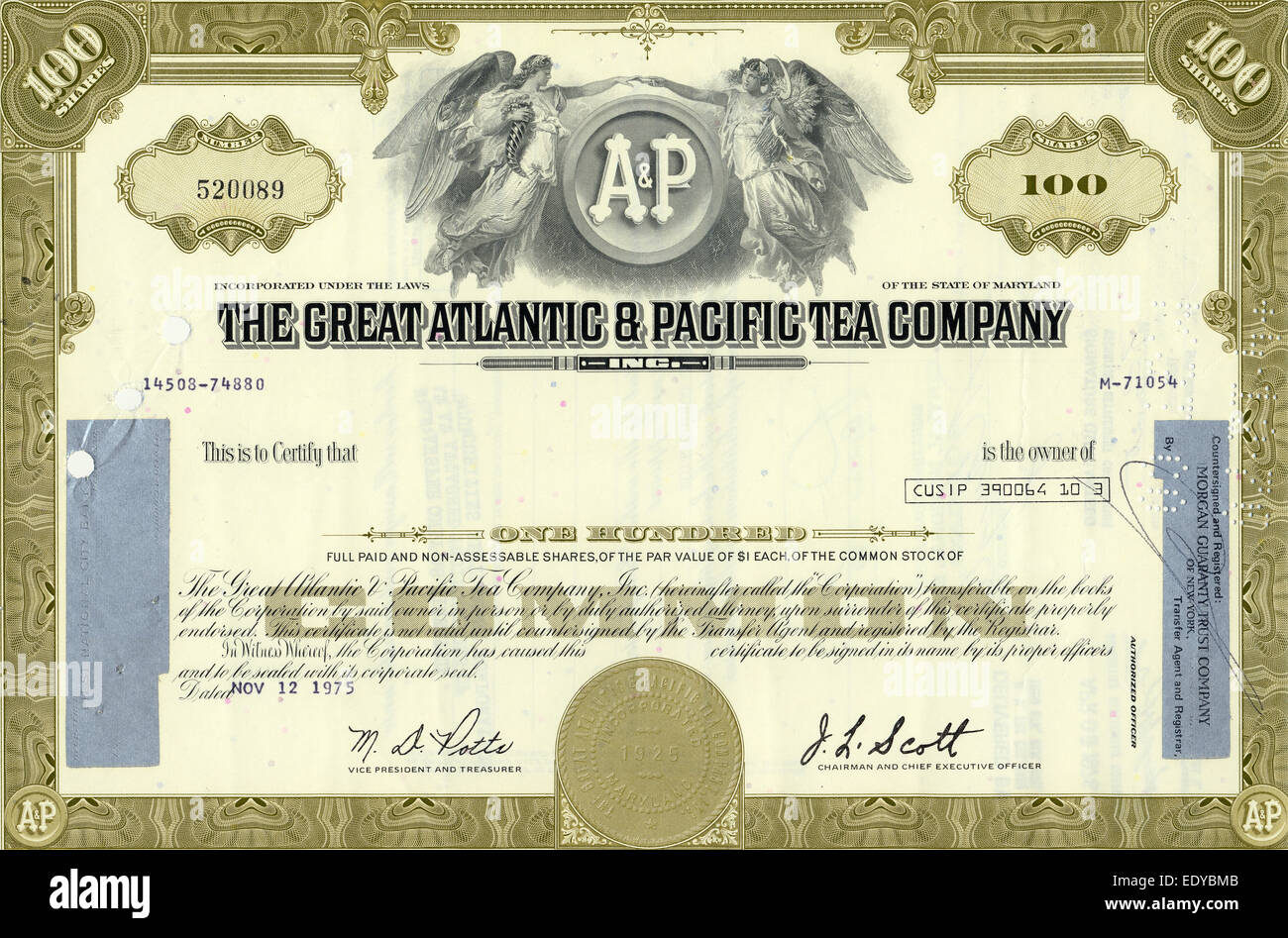 Historische Aktie Zertifikat, den großen atlantischen & Pacific Tea Company, Maryland, USA, 1975 Stockfoto