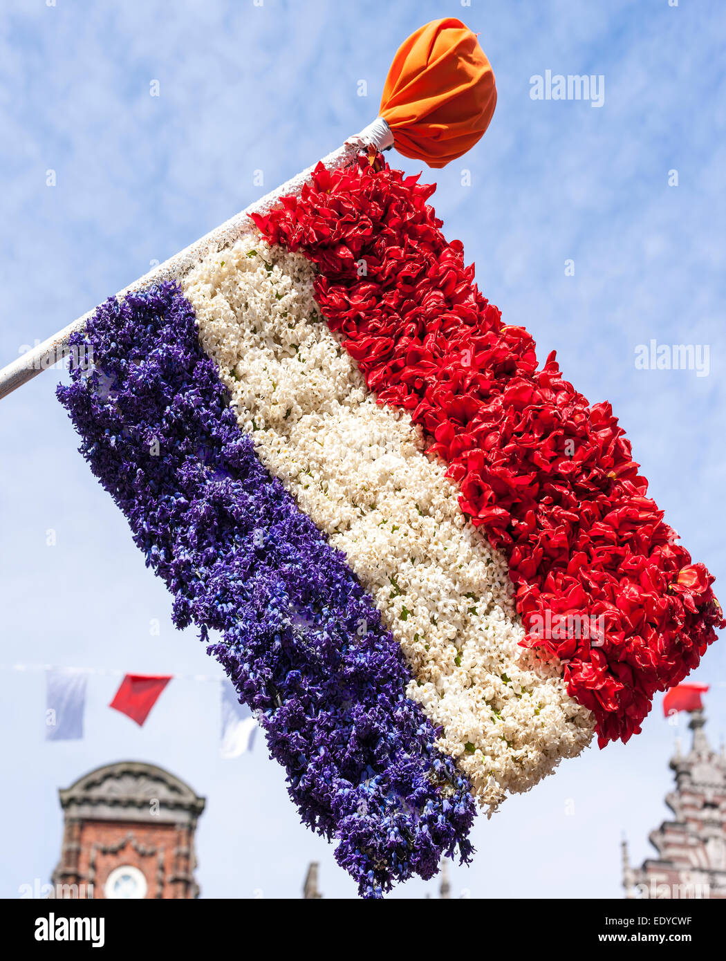 Flagge der Niederlande gemacht aus Blumen auf Dutch Flower Parade Festival in Haarlem, Holland. Stockfoto