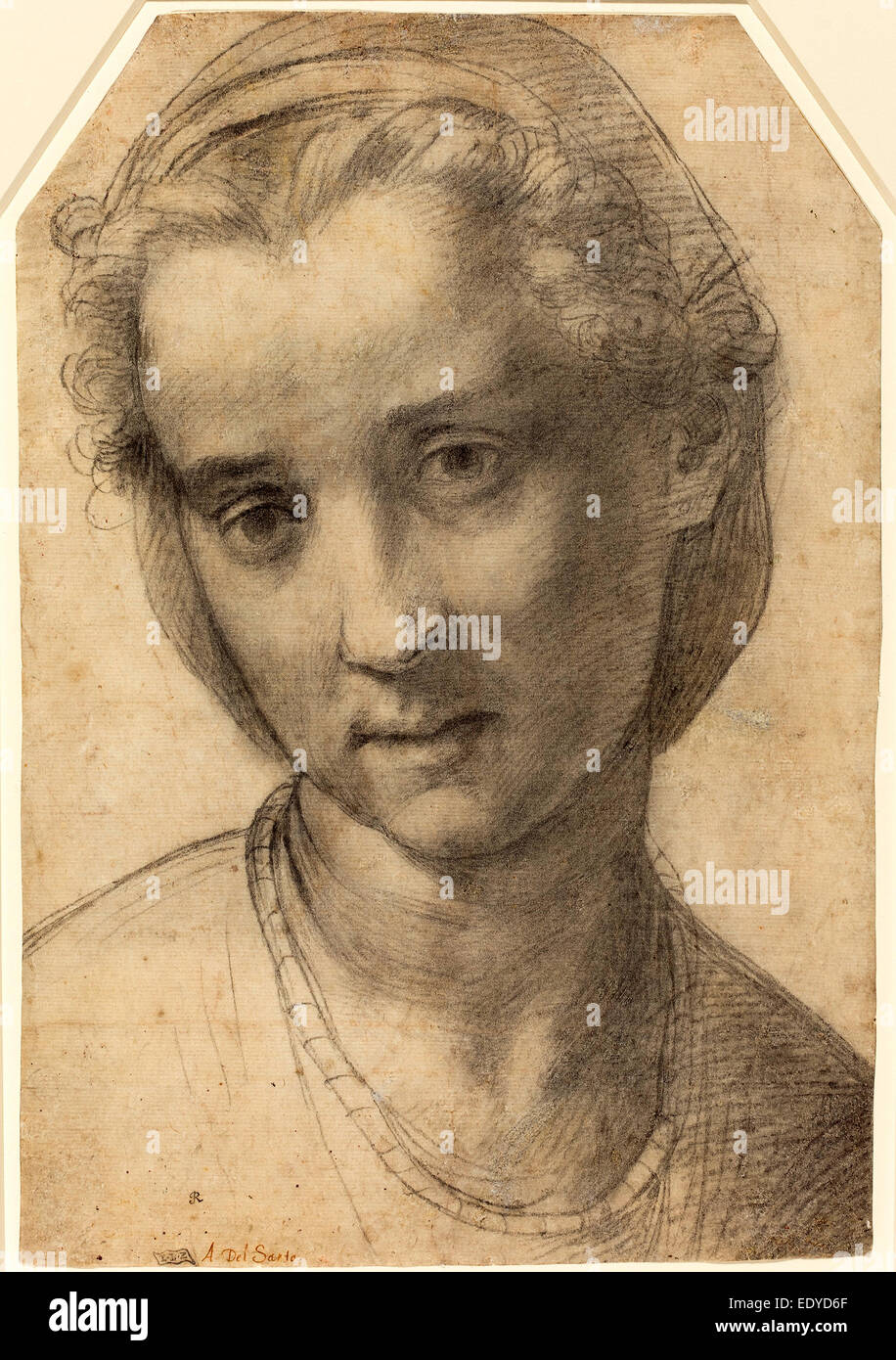 Andrea del Sarto (Italienisch, 1486-1530), Kopf einer Frau, c. 1515, schwarze Kreide auf Bütten Stockfoto