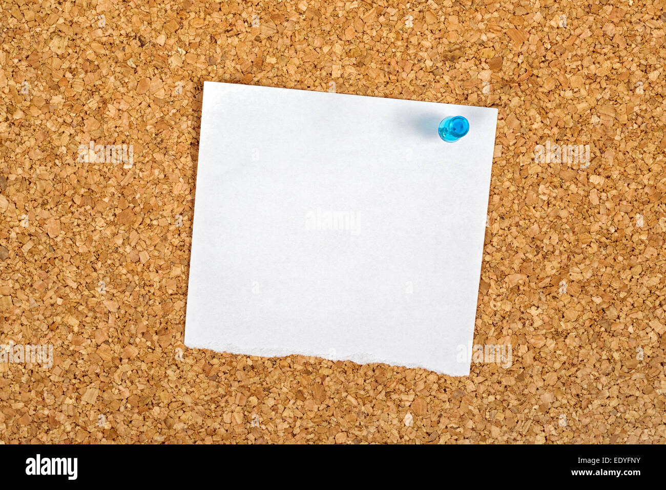 Blankopapier Notiz angeheftet an ein Kork-Speicher-Bulletin-Board als Kopie Raum für Ihre Nachricht Stockfoto