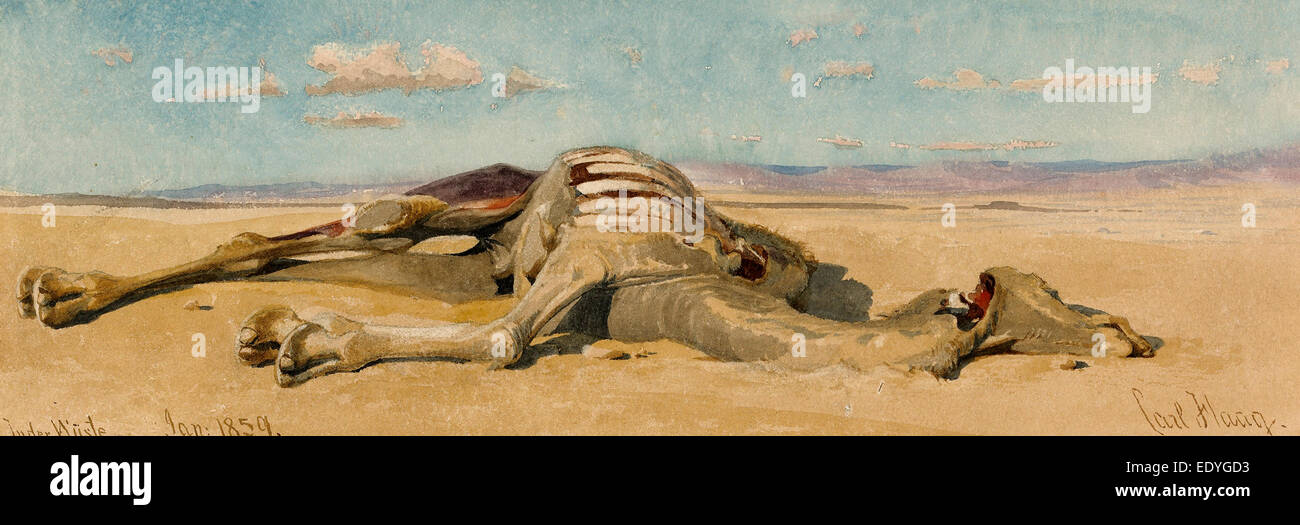 Carl Haag, In der Wüste (In der Wüste), German, 1820-1915, 1859, Aquarell über Graphit auf Creme Vélin Papier Stockfoto