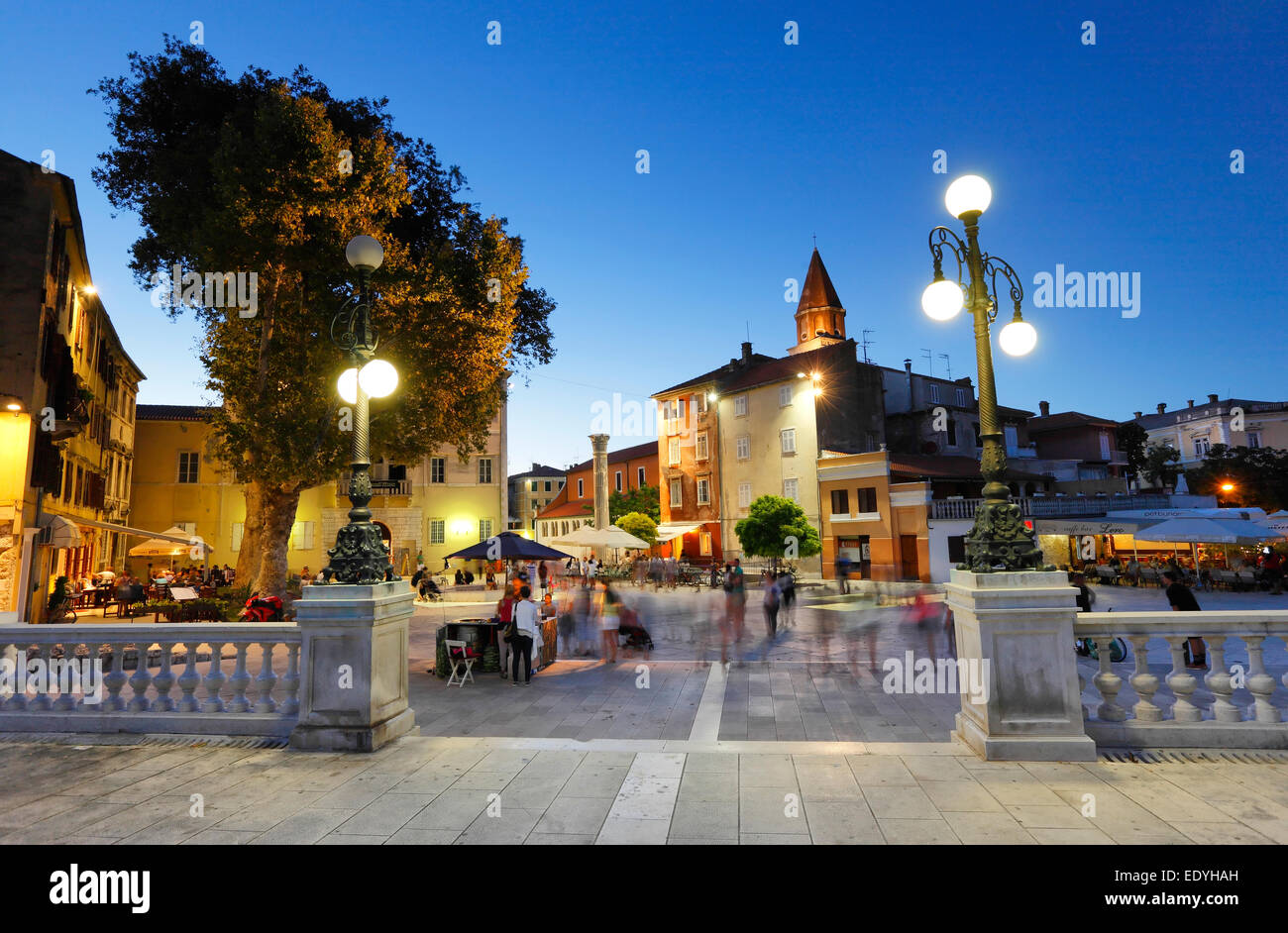 Zadar, Platz fünf Brunnen in der Nacht, Kroatien Stockfoto