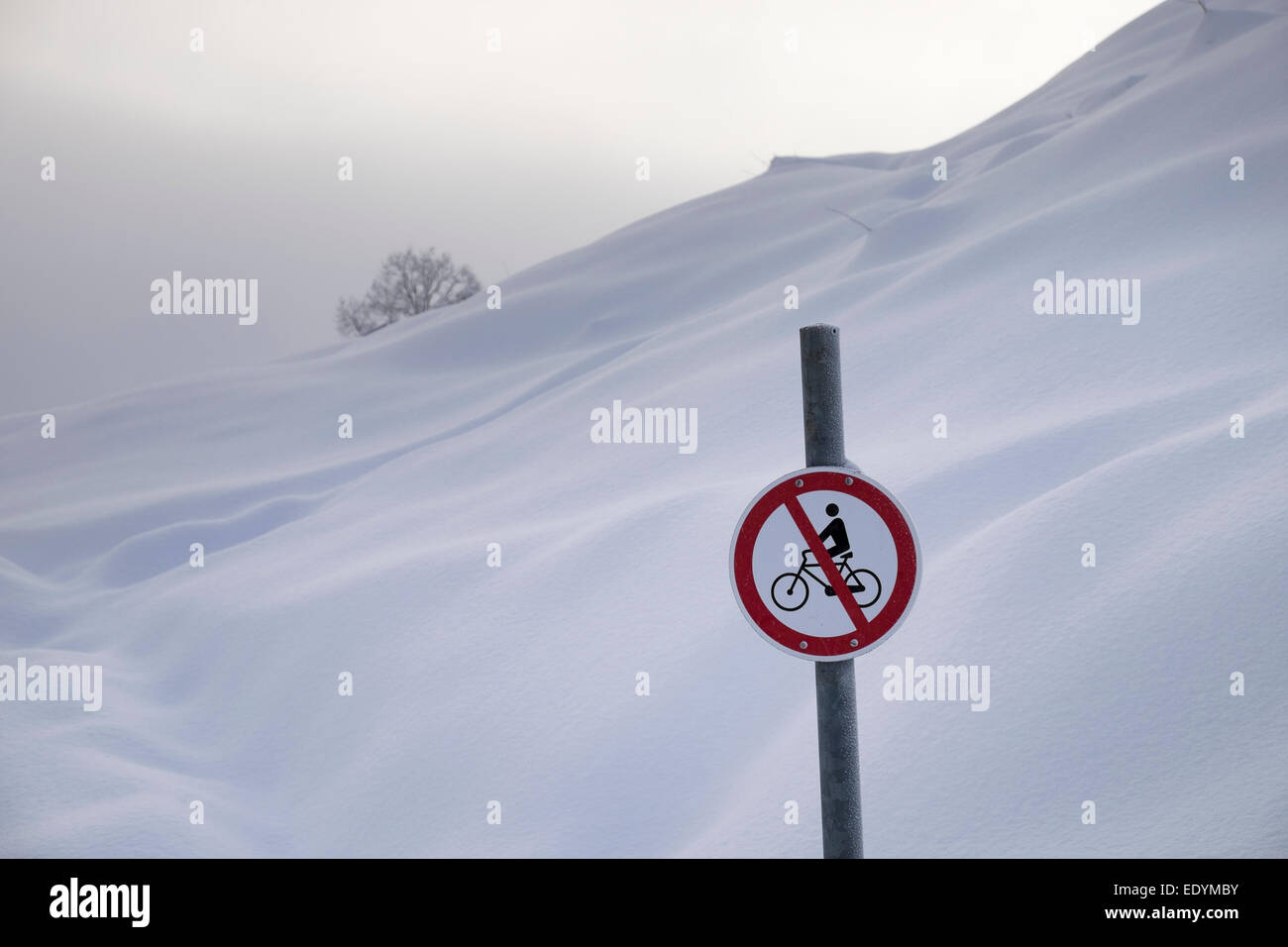 Verbotszeichen, kein Radfahren, im Schnee, Hocheck Berg, Mangfall Bergen, in der Nähe von Oberaudorf, Bayern, Oberbayern Stockfoto