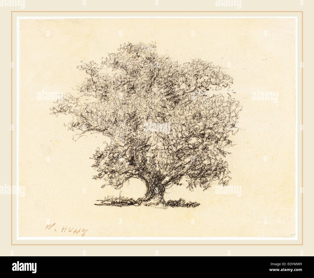 William Henry Hunt, Brite/Britin (1790-1864), A Tree in Full-Leaf, Graphit auf Papier Vélin Stockfoto
