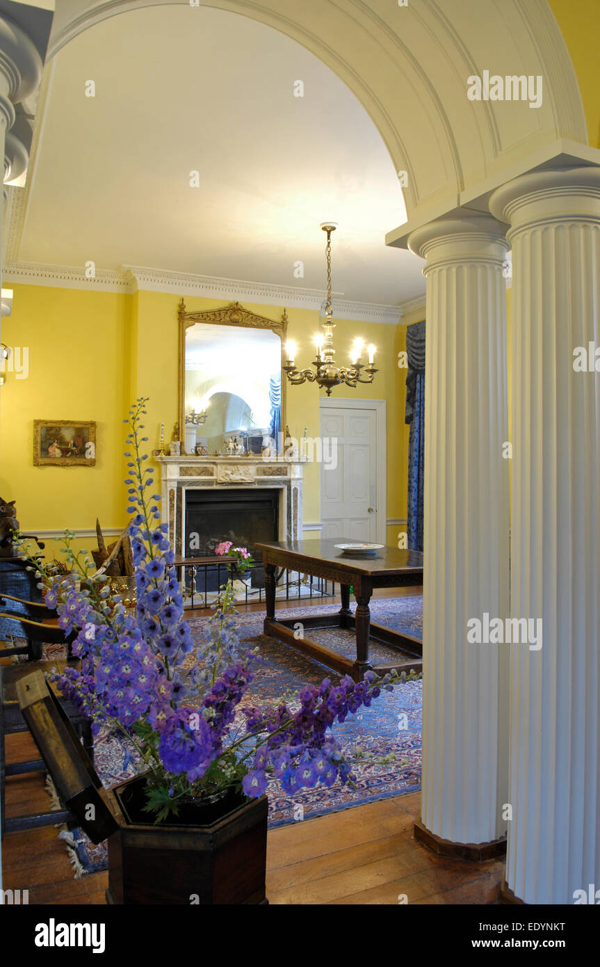 Empfangsraum im Landhaus mit dorischen Säulen, England, UK Stockfoto