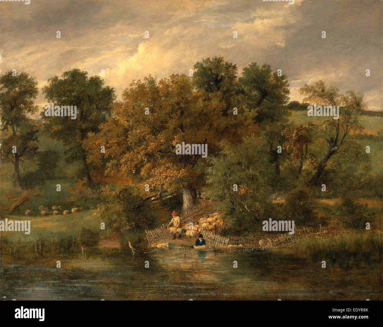 Schaf waschen am Postwick Hain, Norwich, James Stark, 1794 – 1859, Brite/Britin Stockfoto