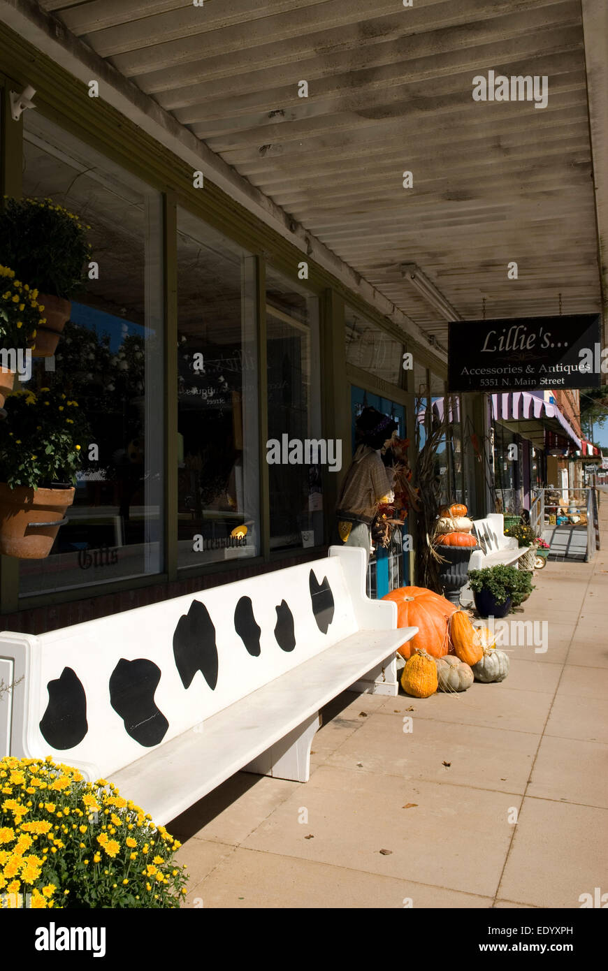Sidewalk Displays Cowpens South Carolina USA Stockfoto