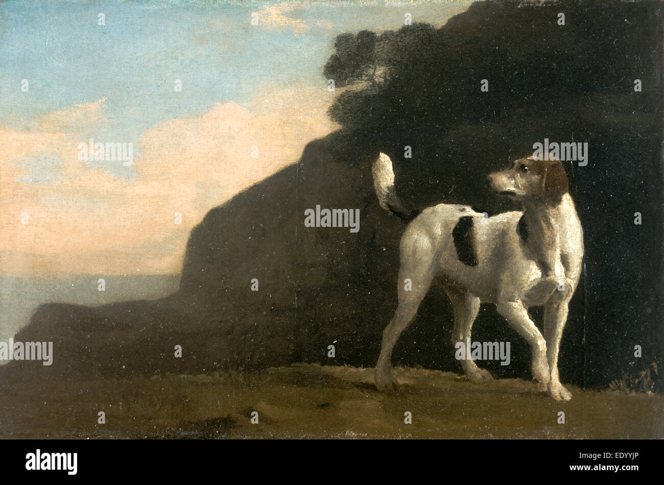 Foxhound A Foxhound, George Stubbs 1724-1806, Brite/Britin Stockfoto