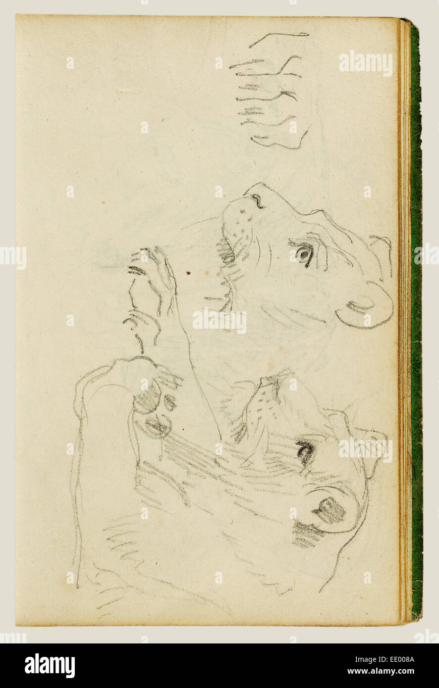 Studien über den Kopf und die Vorderbeine eine Löwin; Théodore Géricault, Französisch, 1791-1824; 1812 - 1814; Graphit Stockfoto