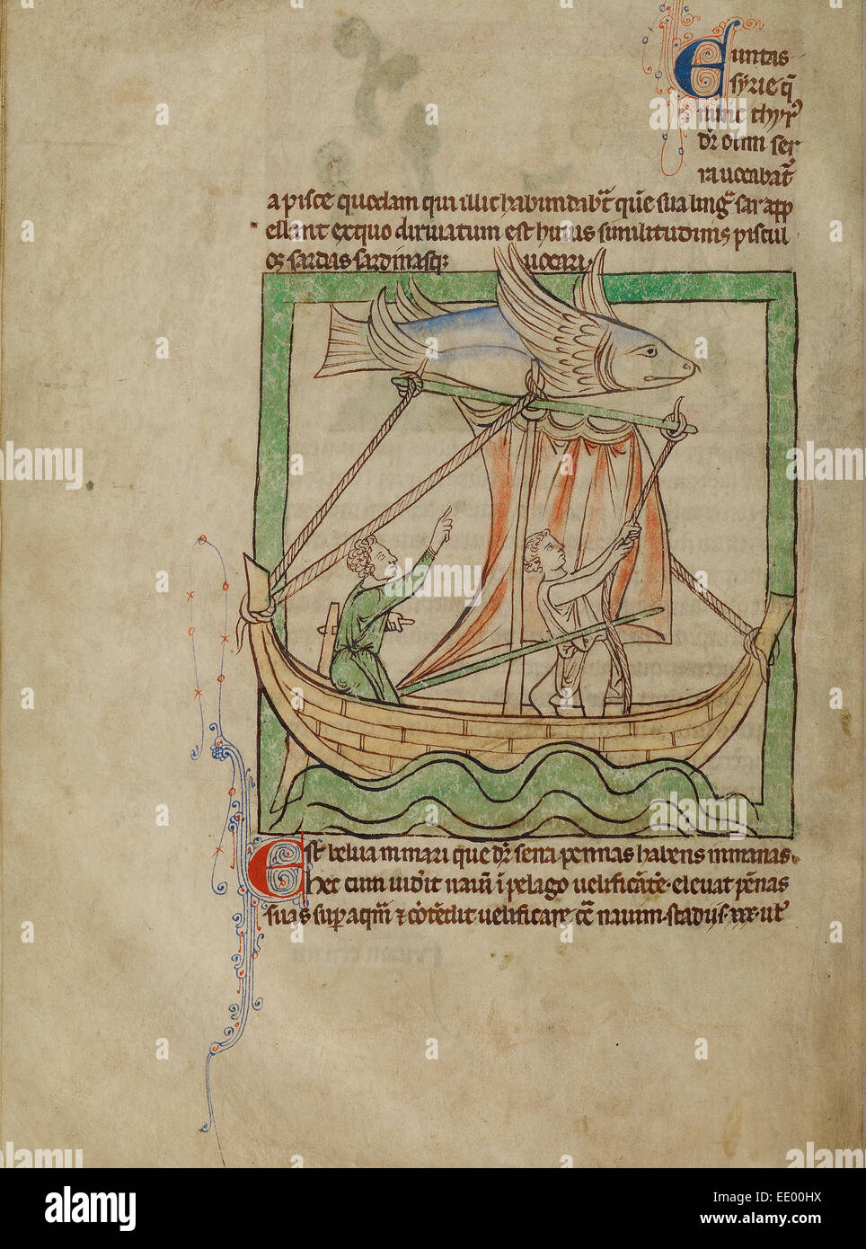 Ein fliegender Fisch; Unbekannt; England, Europa; ca. 1250-1260; Federzeichnungen, getönt mit Körperfarbe und transluzente Wäschen Stockfoto