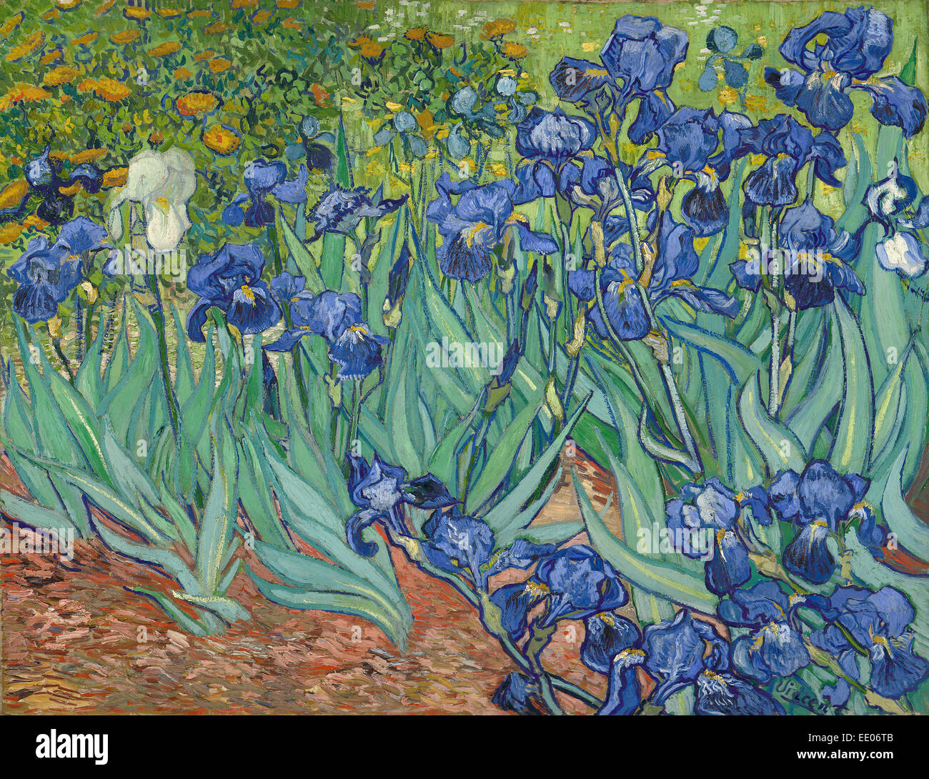 Iris; Vincent Van Gogh, niederländischer, 1853-1890; Saint-Rémy, Frankreich; 1889; Öl auf Leinwand Stockfoto
