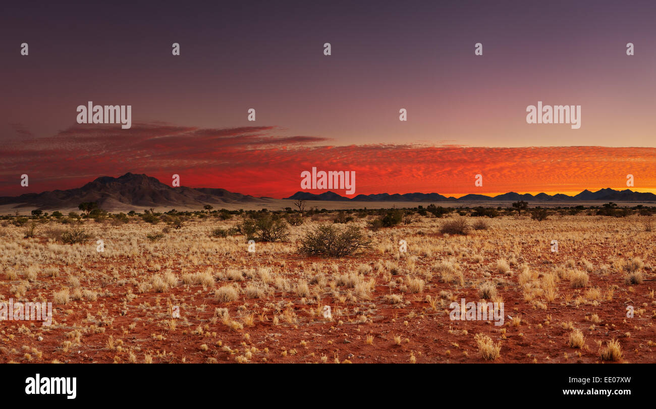 Farbenprächtigen Sonnenuntergang in der Kalahari-Wüste, Namibia Stockfoto