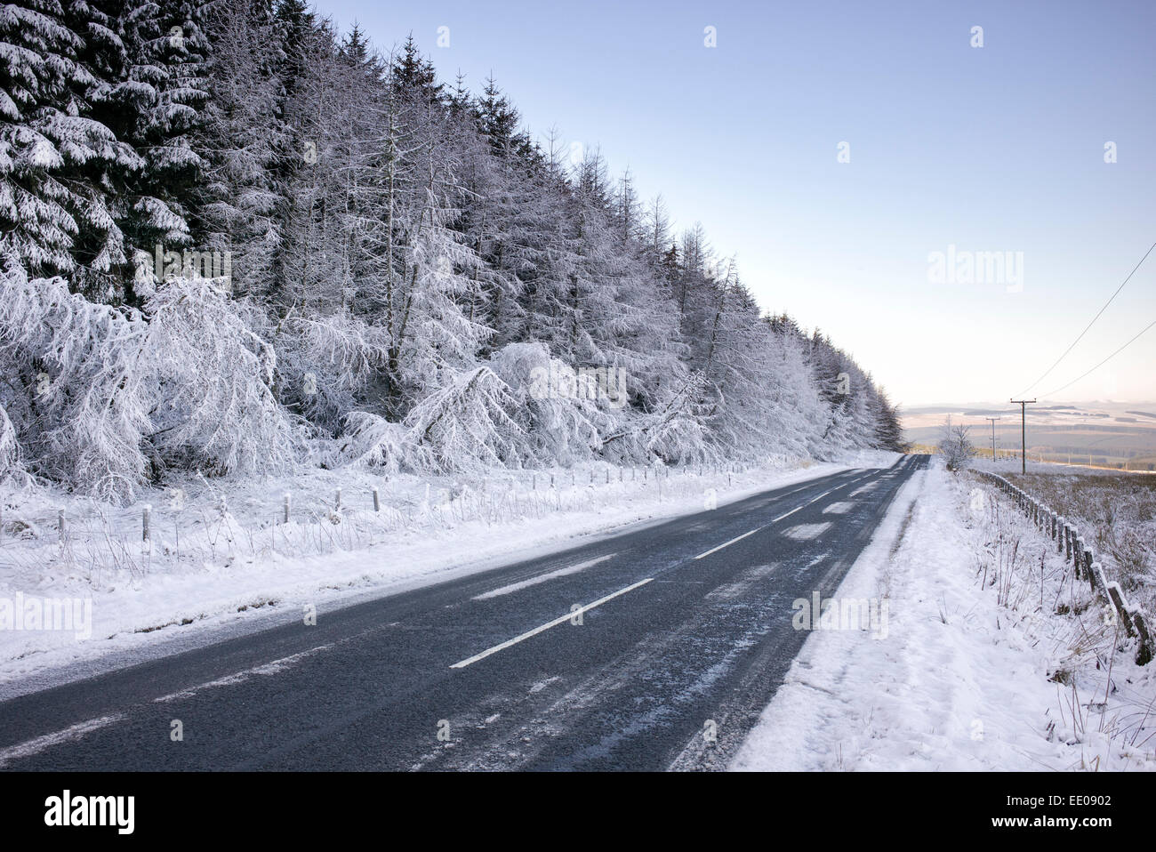 Schneebedeckte Bäume entlang einer Straße in Schottland Stockfoto
