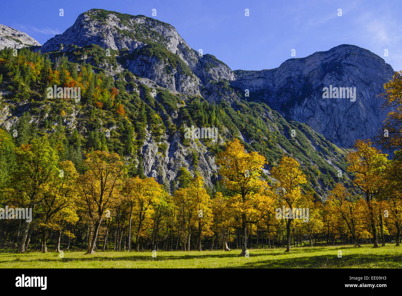 Grosser Ahornboden, Karwendelgebirges, Tirol, Österreich, Europa, Karwendelgebirge, Österreich, Europa, Tirol, Karwendel, montieren Stockfoto