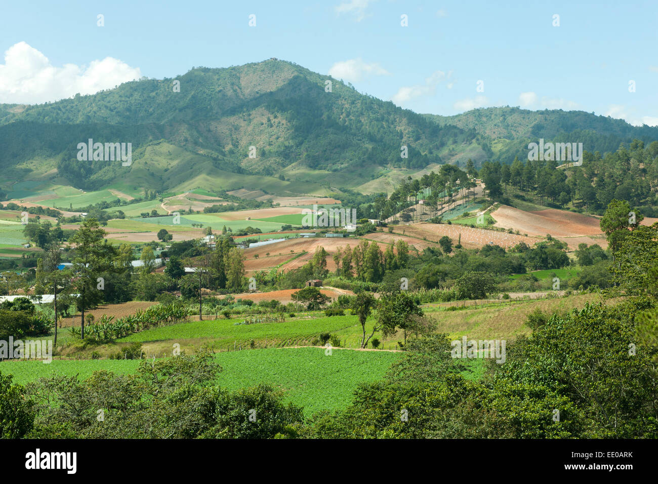 Dominikanische Republik, Cordillera Central, Bei Tireo starke von Constanza Stockfoto