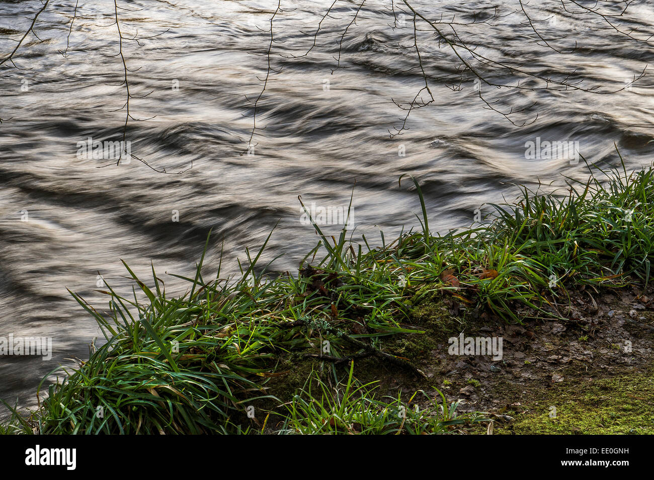 Der Fluss Fowey durch Golitha fällt National Nature Reserve in Cornwall. Stockfoto