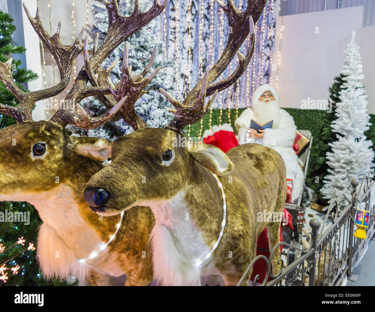 Modell der Rentiere ziehen einer weiß beschichteten Santa Claus in seinem Schlitten, Teil der Weihnachten Anzeige in der Spielwarenabteilung eines UK Shop für Nächstenliebe Stockfoto