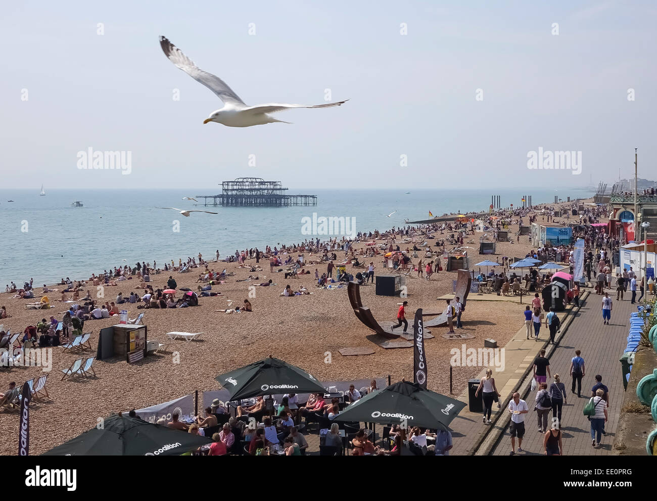 Brighton East Sussex England "Vereinigtes Königreich" UK Sommer blauer Himmel Stockfoto