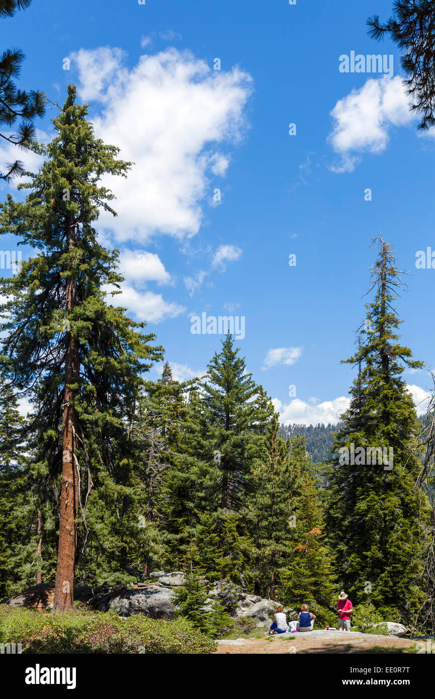 Besucher mit einem Picknick in der Nähe von Redwood Mountain übersehen im Sequoia National Forest, Sierra Nevada, Kalifornien, USA Stockfoto