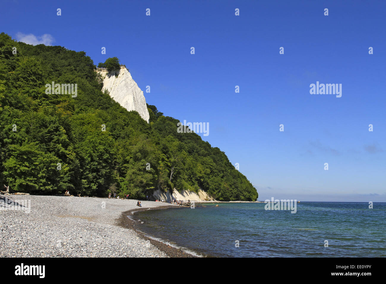 Deutschland, Mecklenburg-Vorpommern, Ostsee, Insel Rügen, Nationalpark Jasmund, Sassnitz, Kreidekueste, Koenigsstuhl Stockfoto