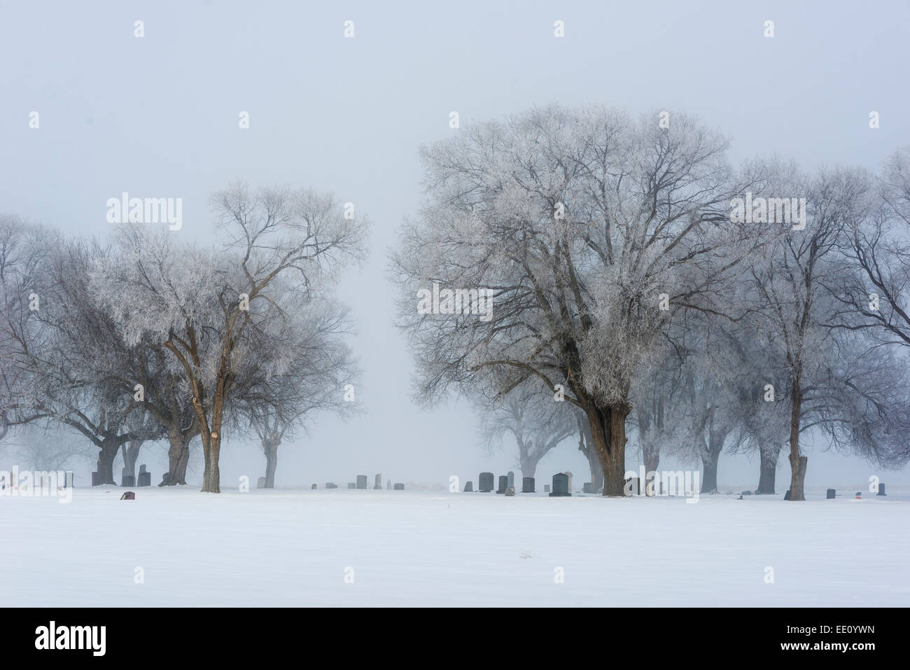 Grabsteine auf dem Friedhof Nord Pulver Oregon an einem nebeligen Wintertag. Stockfoto