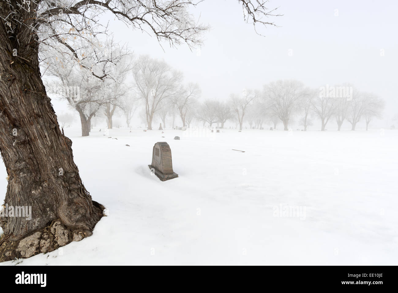 Grabstein auf dem Friedhof Nord Pulver Oregon an einem nebeligen Wintertag. Stockfoto