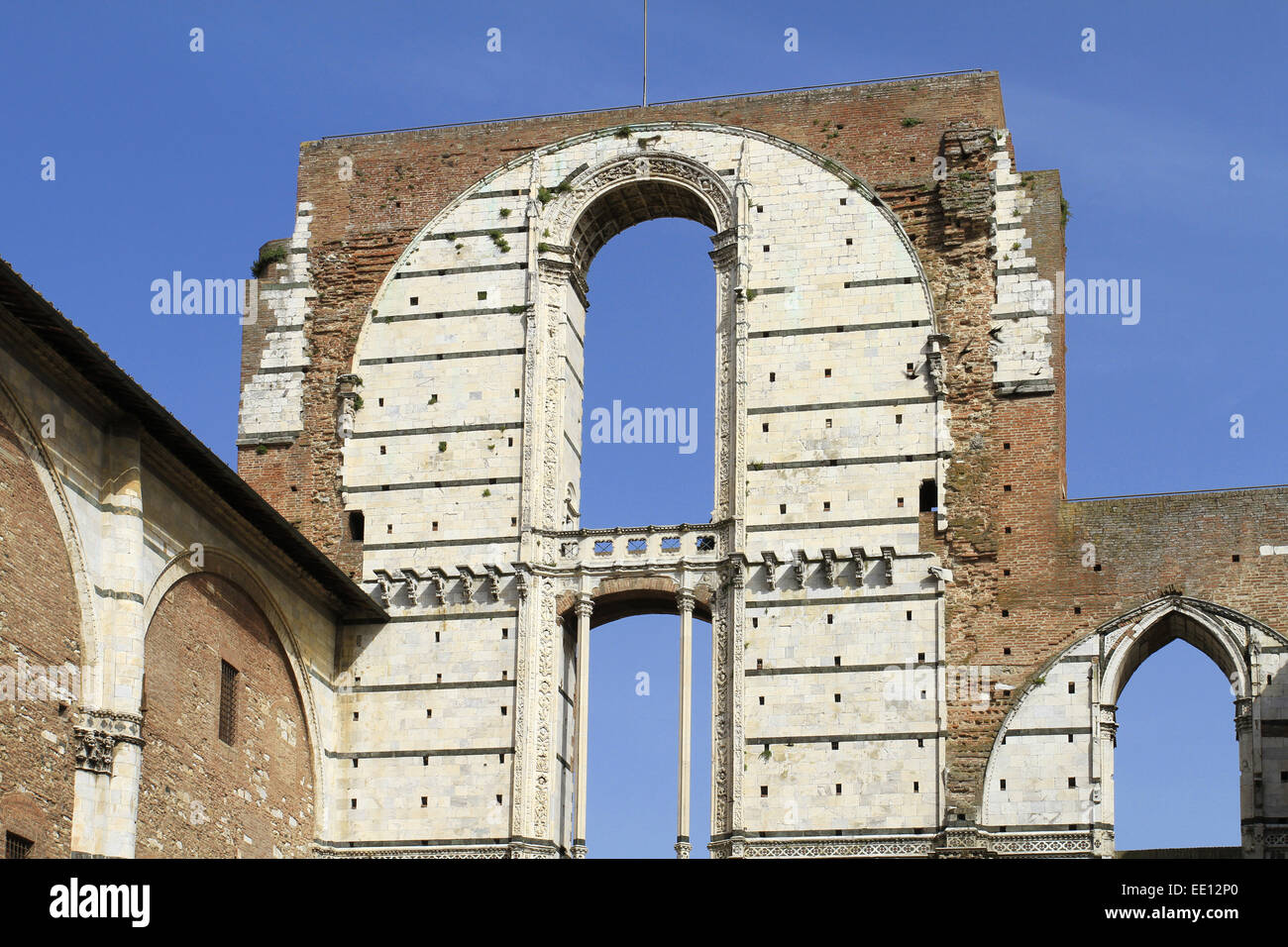 Italien, Toskana, Siena, Piazza del Duomo, Duomo Nuovo, Neuer Dom, Fassade, Abtei, UNESCO-Weltkulturerbe Stockfoto