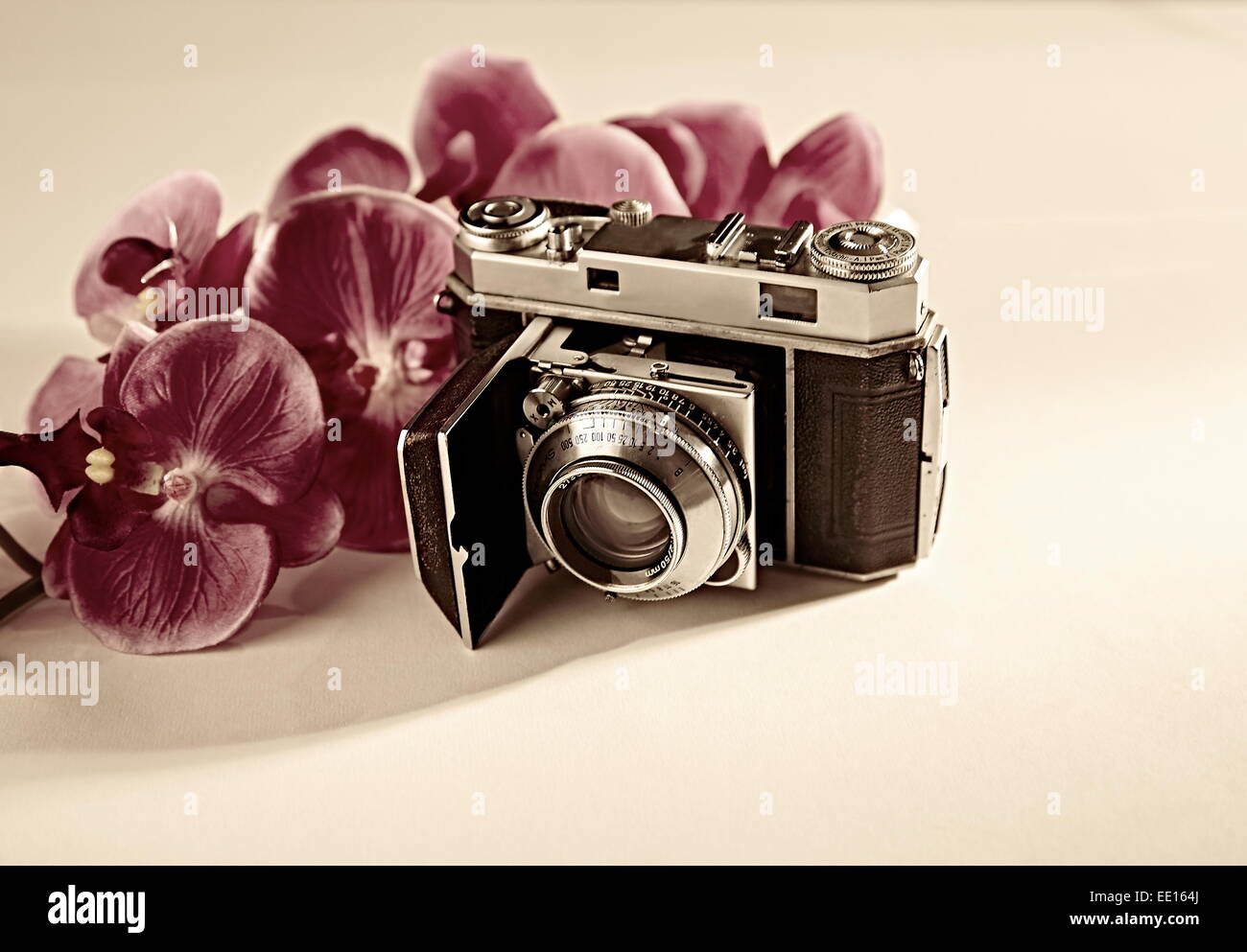 Alte Kamera mit Blumen Stockfoto