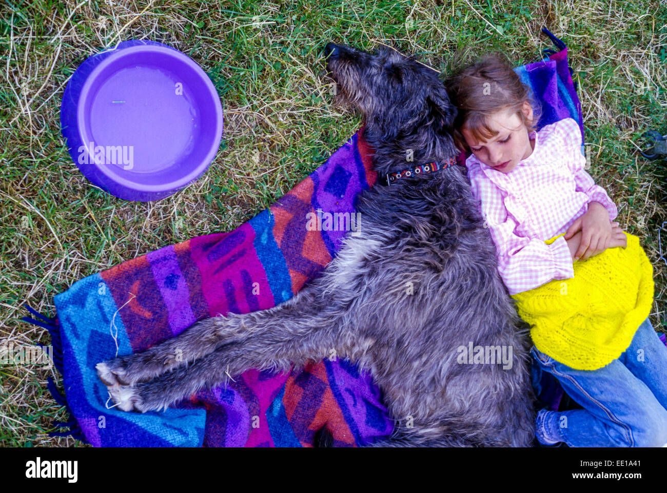 Irish Wolfhound Hund und Kind schlafen auf einer Decke Stockfoto